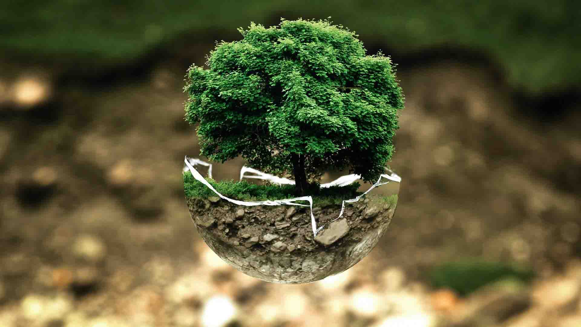 environmental protection 683437
