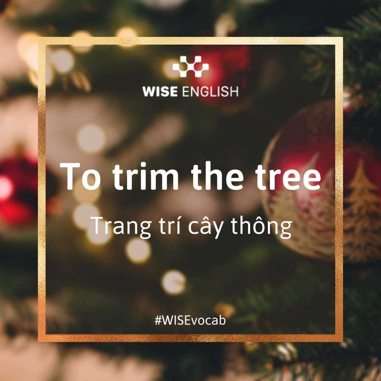 Idioms Giáng Sinh - Trang trí cây thông