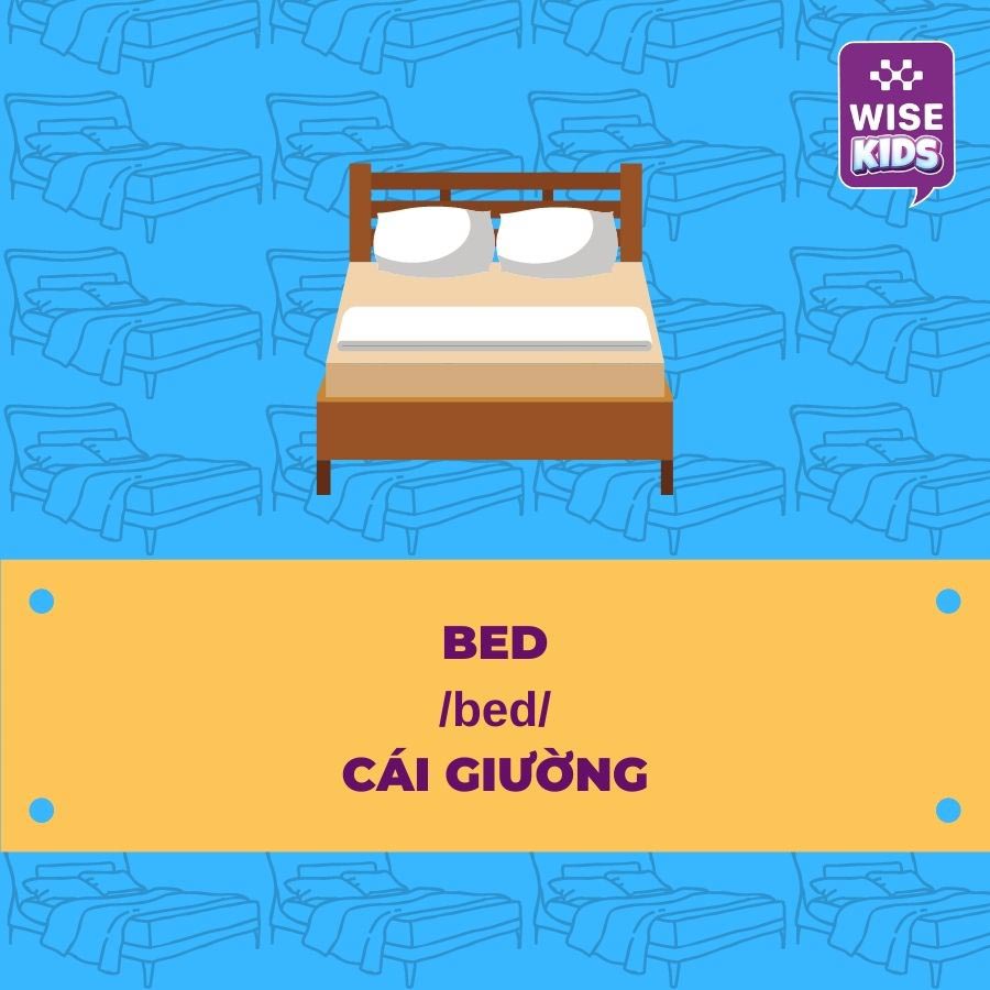 tu vung do vat bed