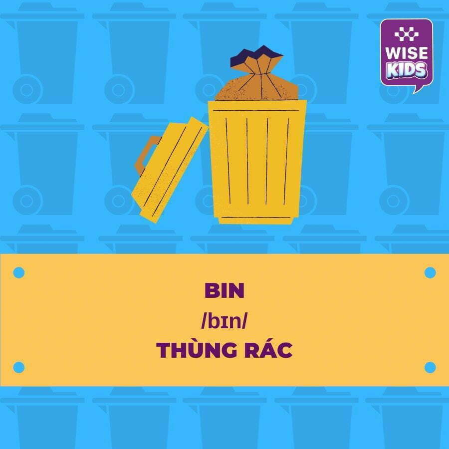 tu vung do vat bin