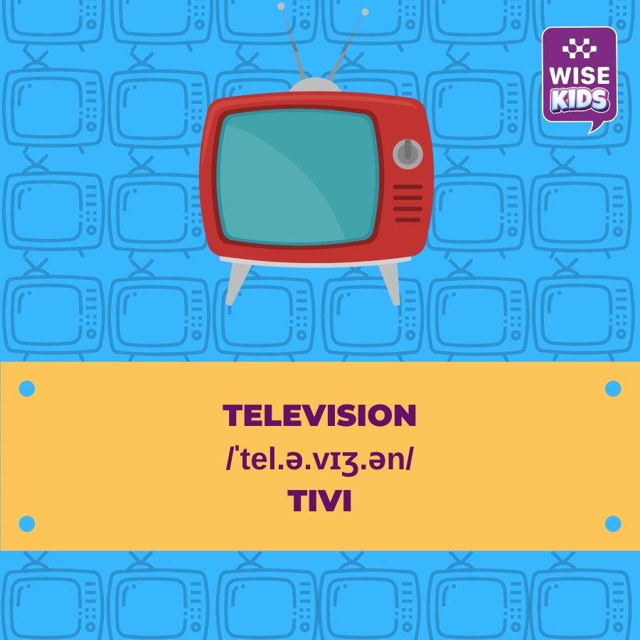 tu vung do vat television