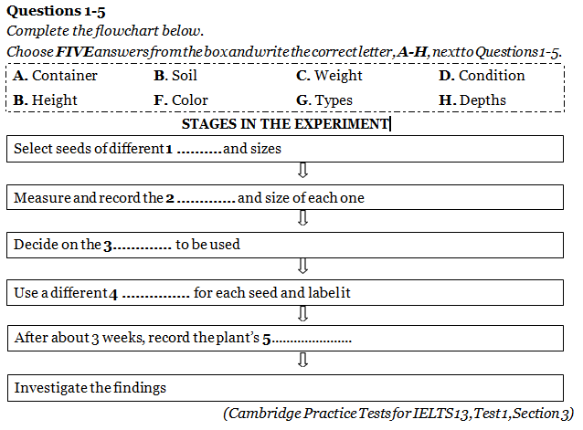dang-de-flow-chart-completion