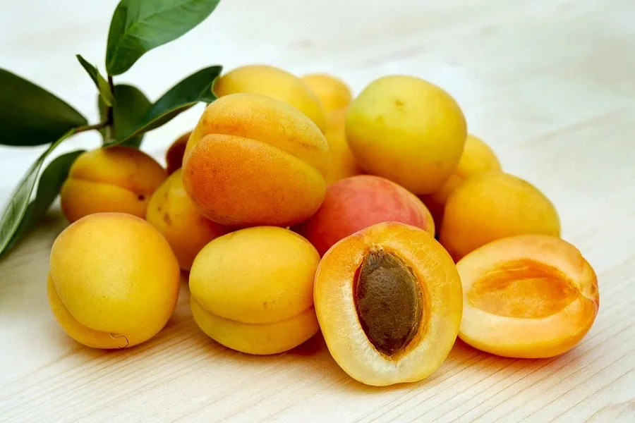 Từ vựng tên các loại trái cây bằng tiếng Anh Từ vựng tên các loại trái cây bằng tiếng Anh