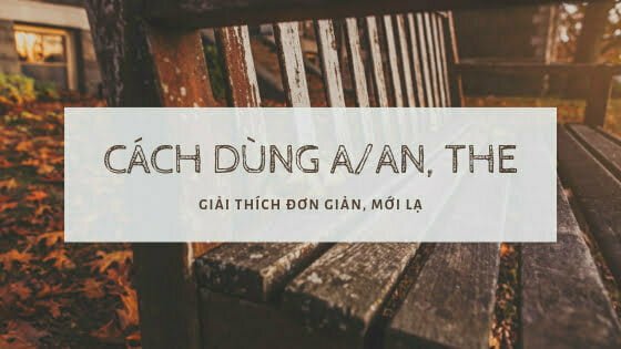 mạo-từ
