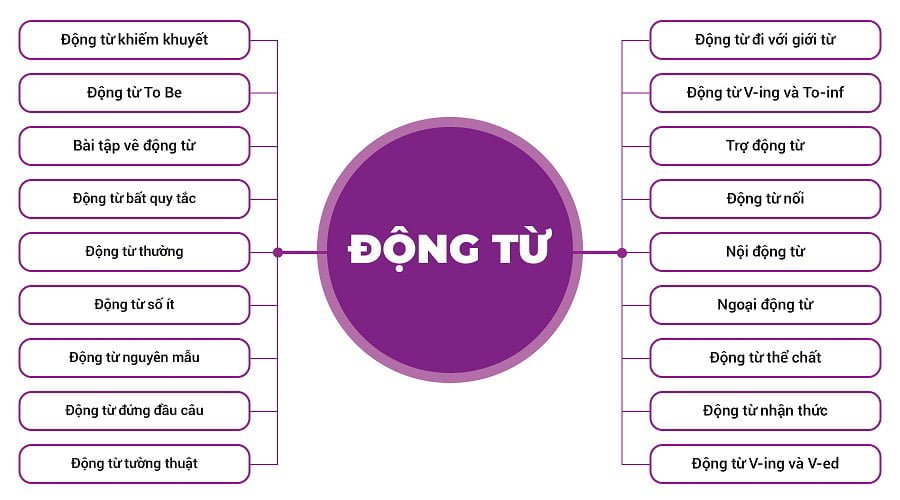 dong-tu