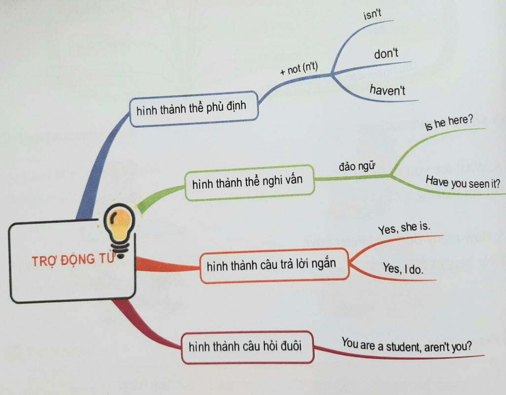 so-do-tro-dong-tu