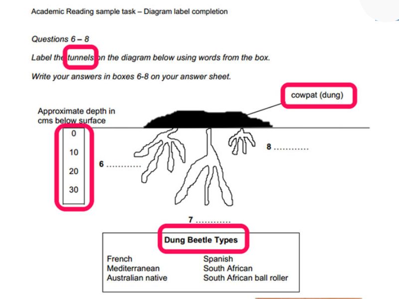 Tổng hợp đề thi IELTS Reading kèm đáp án chi tiết 9 Completing tables, charts, note, diagrams