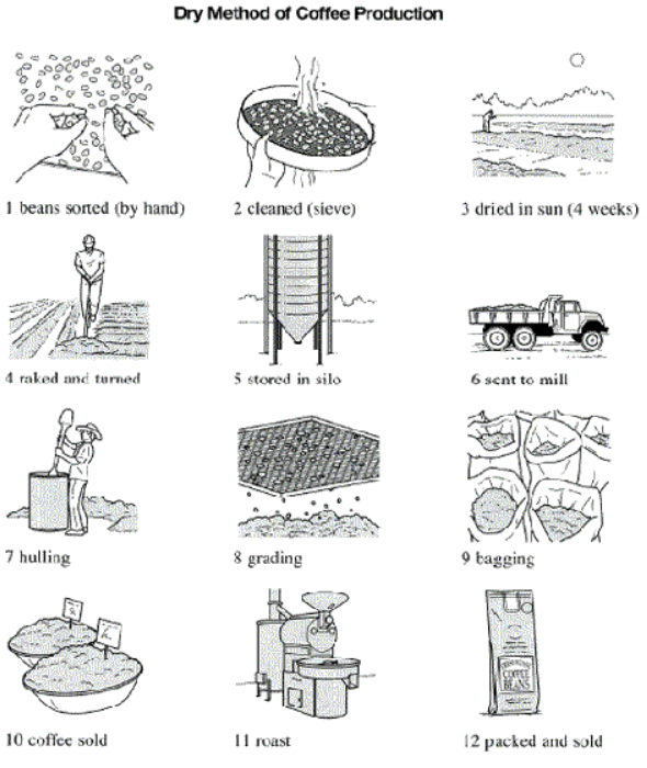 de-mau-process