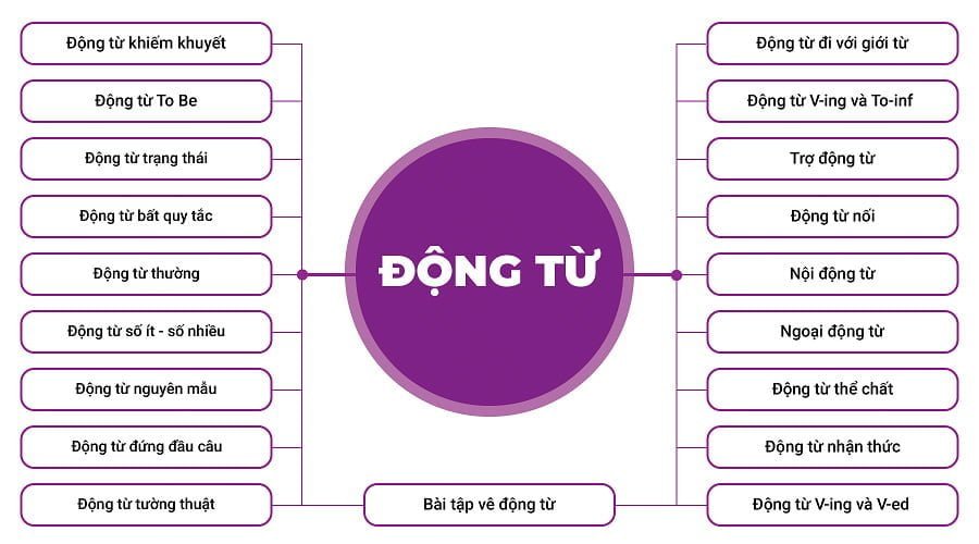 dong-tu