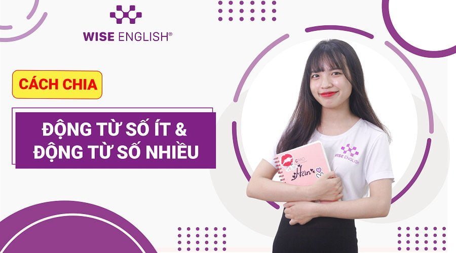 dong-tu-so-it
