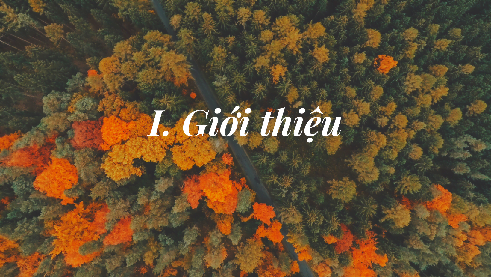 Giới thiệu