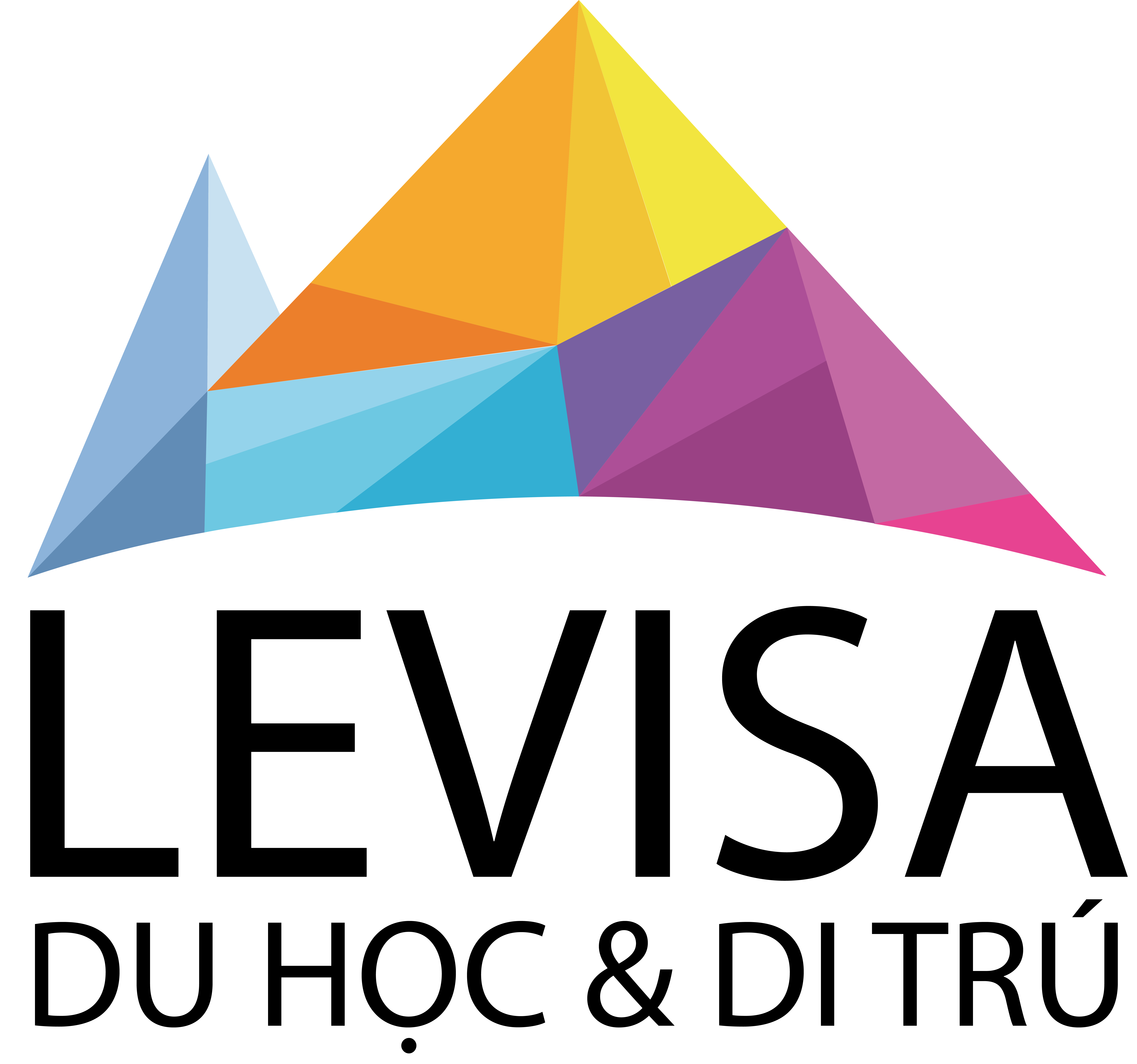 Logo-LEVISA-BLACK