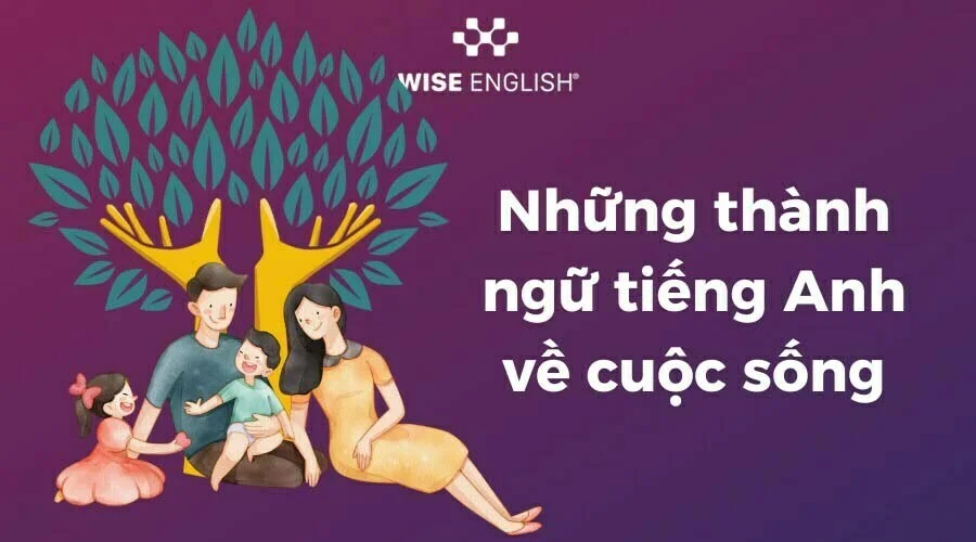 Những Thành Ngữ Tiếng Anh Về Cuộc Sống Được Sử Dụng Nhiều Nhất | Wise  English