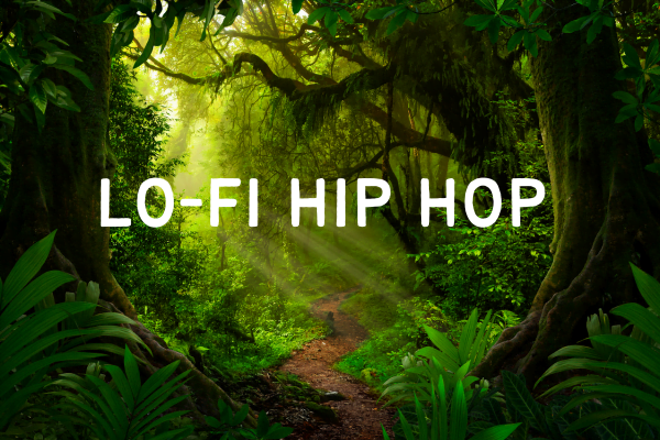 Lofi-hip-hop-nhạc chill tiếng anh để học tiếng anh