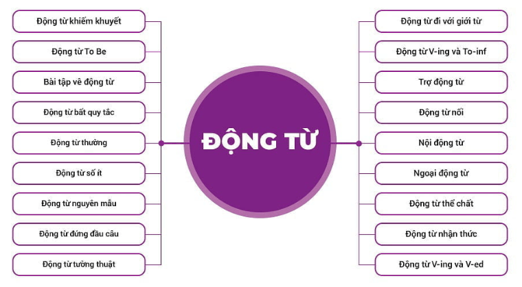 dong-tu-thuong