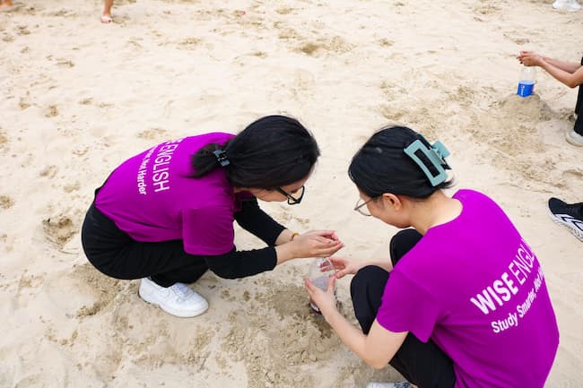Team building WISE English 2023