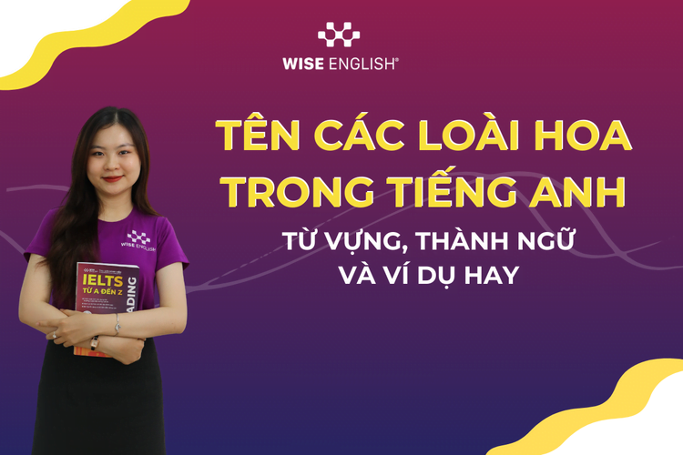 100+ TÊN CÁC LOÀI HOA TRONG TIẾNG ANH - CÁCH ĐẶT TÊN VÀ THÀNH NGỮ VỀ HOA 1 Tên các loài hoa trong tiếng Anh