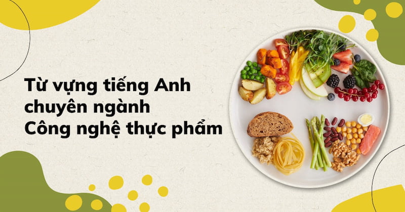 Bỏ túi 100+ từ vựng, thuật ngữ tiếng Anh chuyên ngành công nghệ thực phẩm 3 tiếng anh chuyên ngành công nghệ thực phẩm