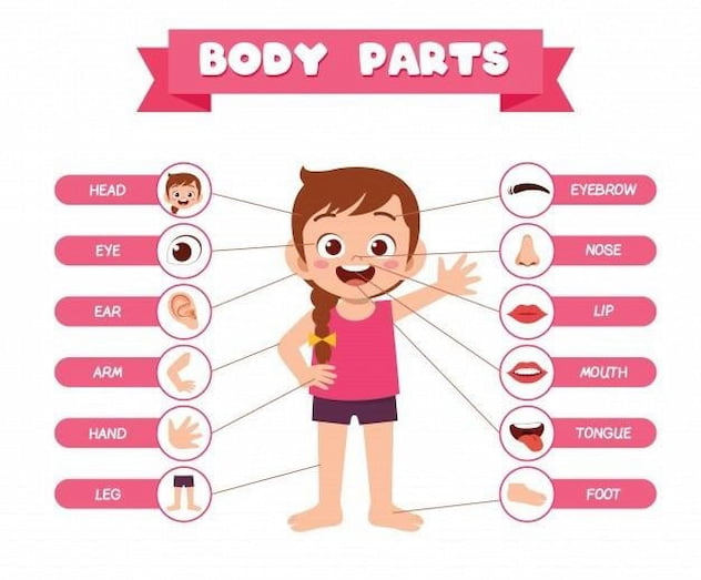 Bỏ túi 300+ từ vựng, thuật ngữ tiếng Anh chuyên ngành Y Khoa 6 tiếng Anh chuyên ngành Y Khoa