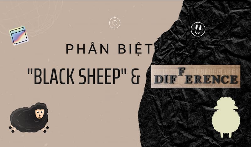 The Black Sheep - Nguồn gốc, Ý nghĩa và Vận dụng vào ngữ cảnh thực tế trong tiếng Anh 6 the-black-sheep-3