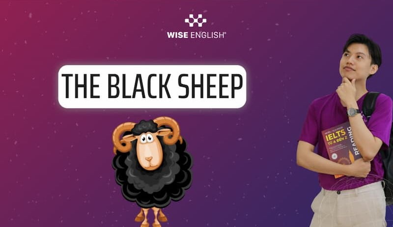 The Black Sheep - Nguồn gốc, Ý nghĩa và Vận dụng vào ngữ cảnh thực tế trong tiếng Anh 1 the-black-sheep-7