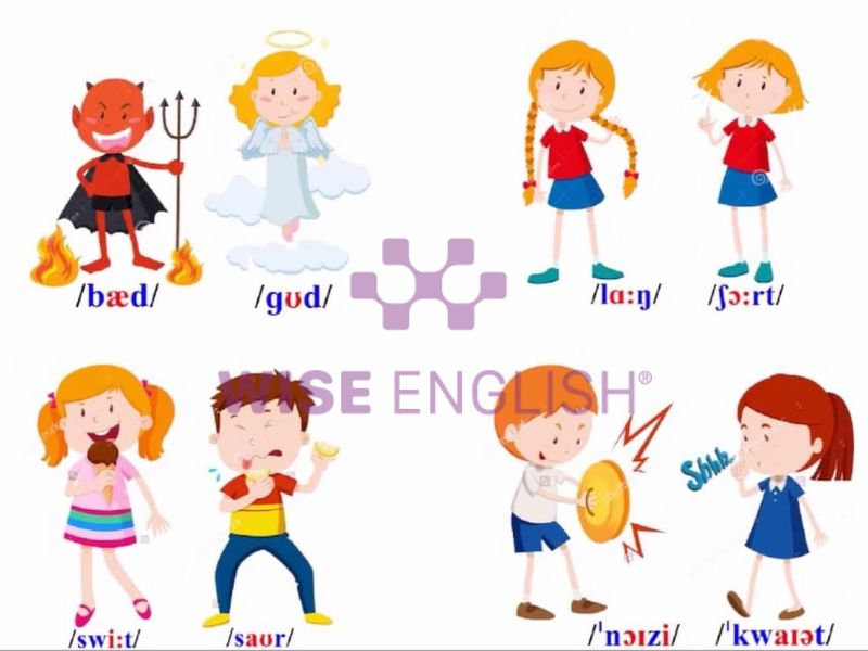 Bé học tiếng Anh lớp 2 qua những cặp từ trái nghĩa