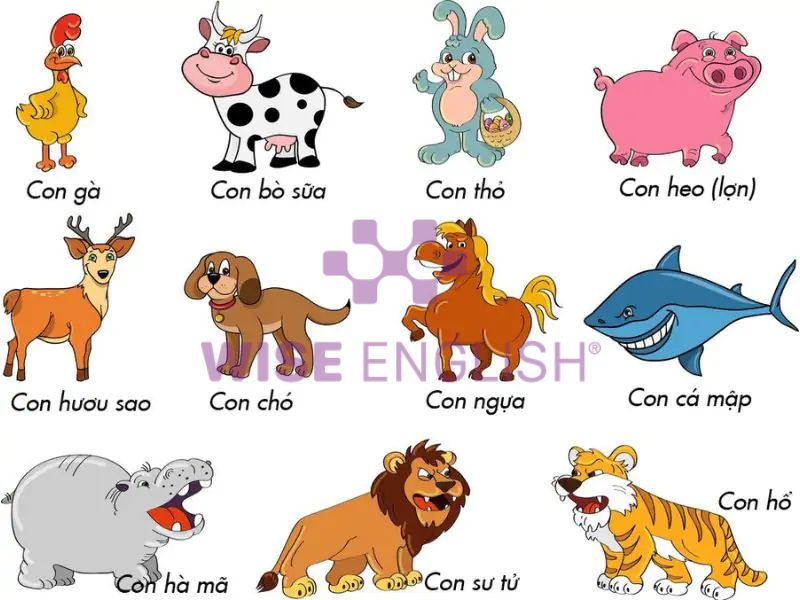Bé học tiếng Anh theo chủ đề động vật