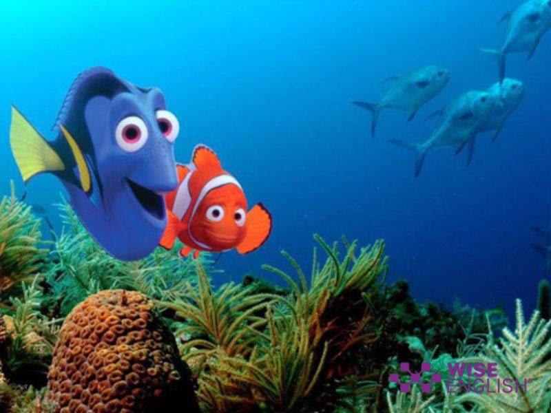 Đi tìm Nemo (2003) - Bộ Phim Hoạt Hình Tiếng Anh Hấp Dẫn Cho Trẻ Em