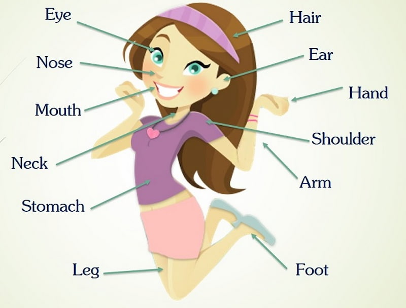 Từ vựng tiếng Anh trẻ em theo chủ đề các bộ phận cơ thể 