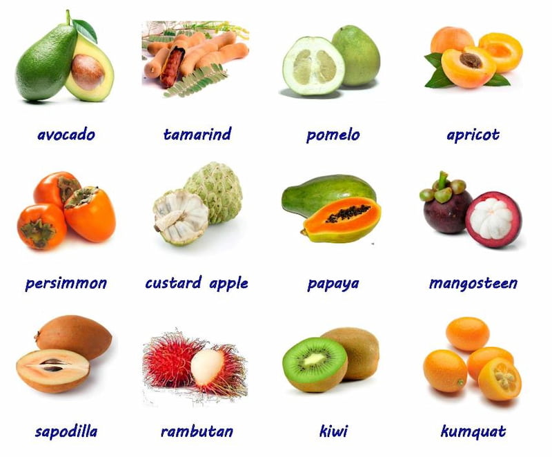 Từ vựng về các loại trái cây