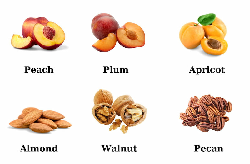 Từ vựng về trái cây nhóm quả hạch