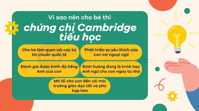 Vì sao nên cho bé thi chứng chỉ Cambridge?