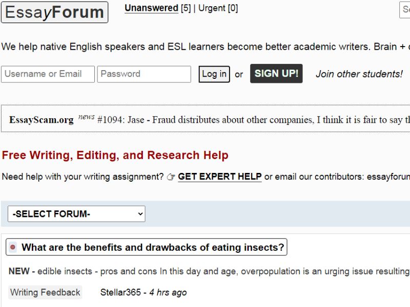 Giao diện của Essay Forum