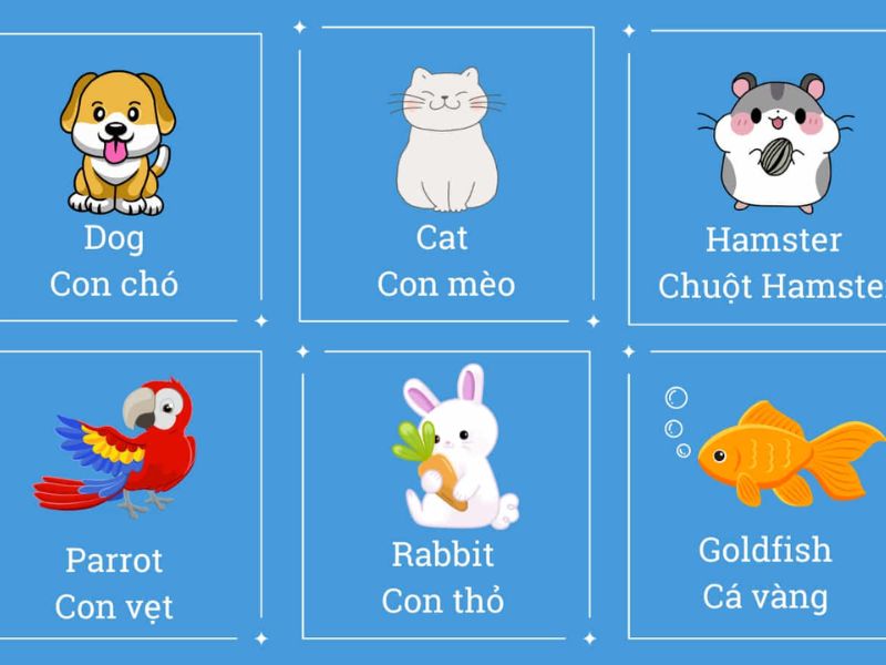 9 chủ đề dạy bé học tiếng Anh qua con vật hay nhất 2 Từ vựng chủ đề vật nuôi