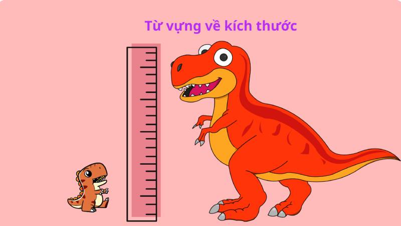 Từ vựng về kích thước