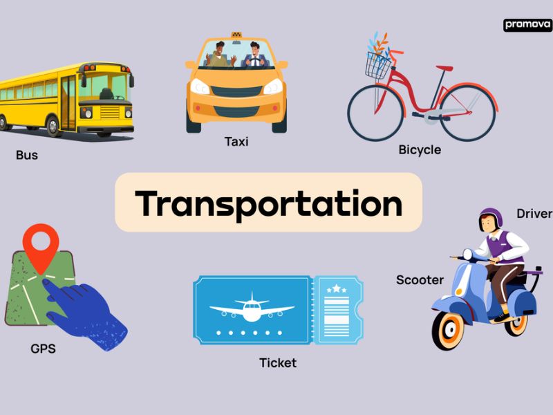 IELTS Speaking chủ đề Transportation: Gợi ý câu hỏi và câu trả lời chi tiết 7 Topic Transportation