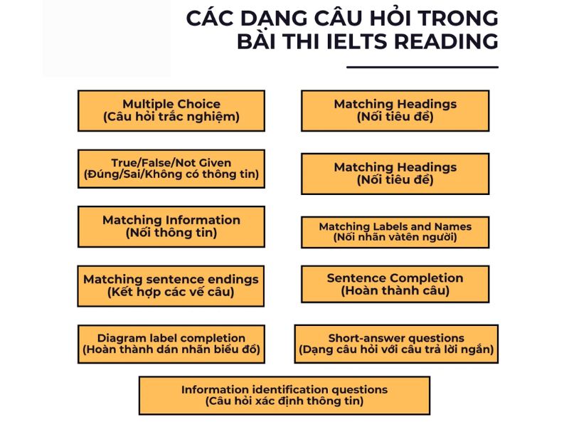 Chi tiết cấu trúc đề thi IELTS 2024 và dạng câu hỏi mà bạn cần biết 5 Dạng câu hỏi có trong bài thi IELTS Reading