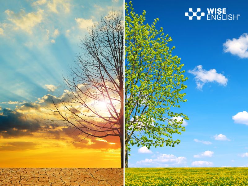 Bài mẫu IELTS writing global warming kèm Vocab đầy đủ 2 causes of global warming essay ielts