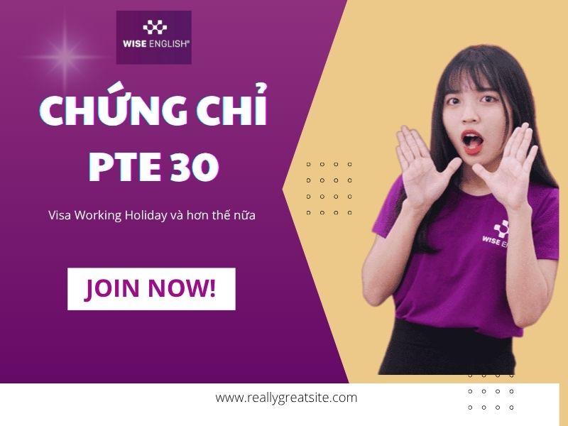 Chứng chỉ PTE 30