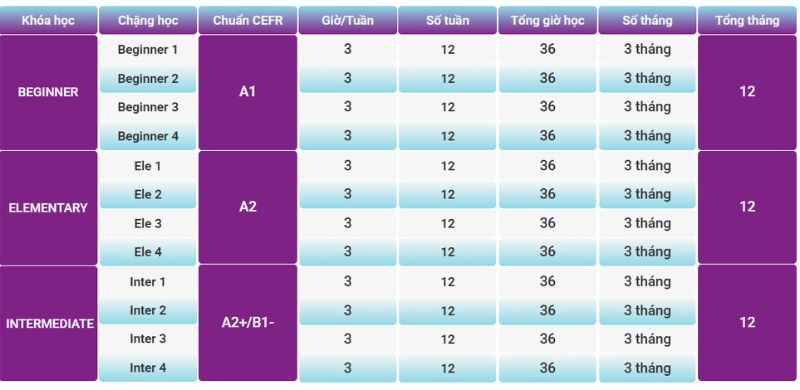 Lộ trình chi tiết khóa học TEENS WISE ENGLISH