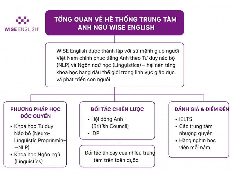 CÓ NÊN NHƯỢNG QUYỀN THƯƠNG HIỆU WISE ENGLISH? 3 Tổng quan thương hiệu WISE English