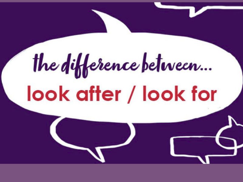 Look after và look for